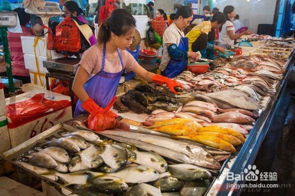 2016年度美食盛宴