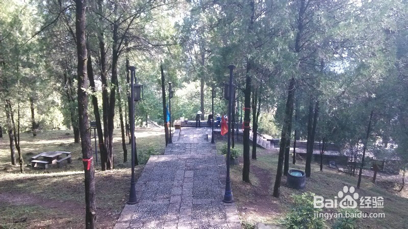 云南哪些地方好玩：[3]云南第三天-丽江