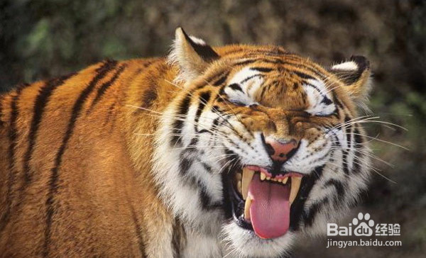 如何与高颜值异性上司相处