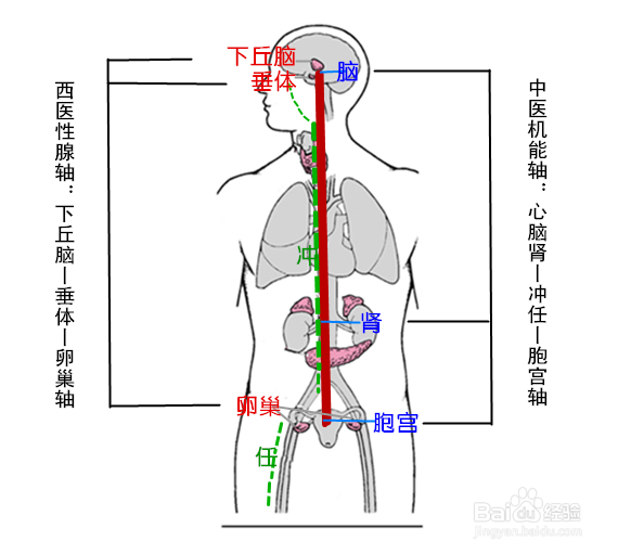 乳腺增生的治疗方法