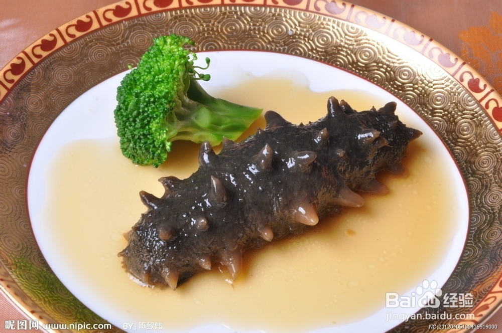 海参如何完美的泡发出来