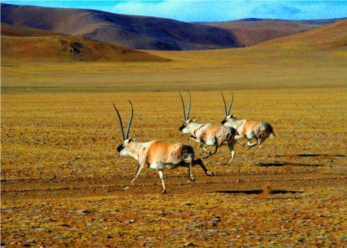 拉萨有哪些著名旅游景点？