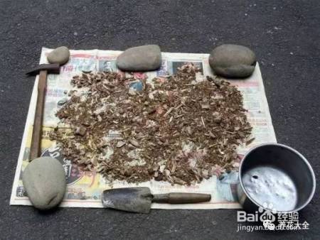 花盆边戳个洞，埋点它，花猛蹿狂长，叶子长成绿瀑布!