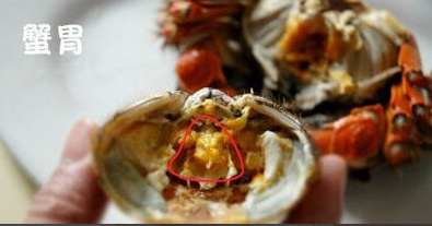 吃螃蟹的技巧