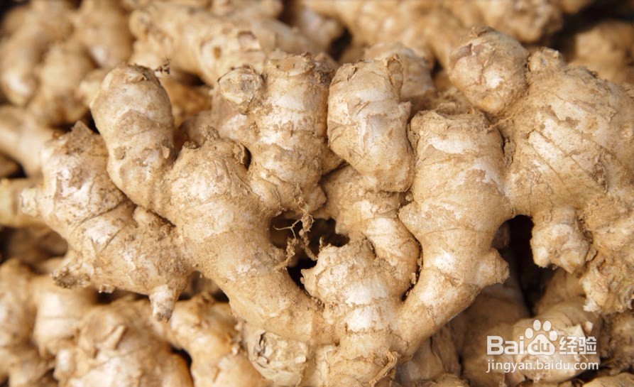 生姜什么时候种植最合适|春播秋收