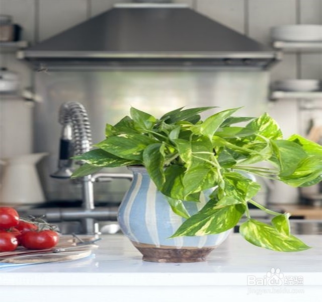 劣质家具的隐患,如何做好除甲醛的工作