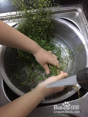 荠菜花煮鸡蛋儿童版