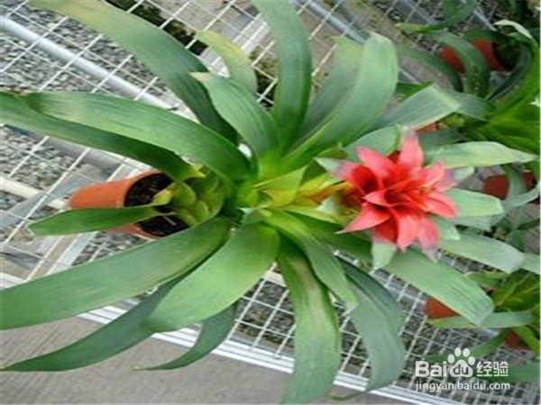 食盐能带给我们怎样的好处？