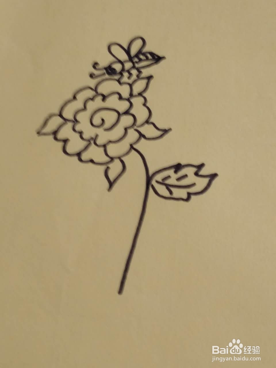 勤劳的小蜜蜂简笔画画法