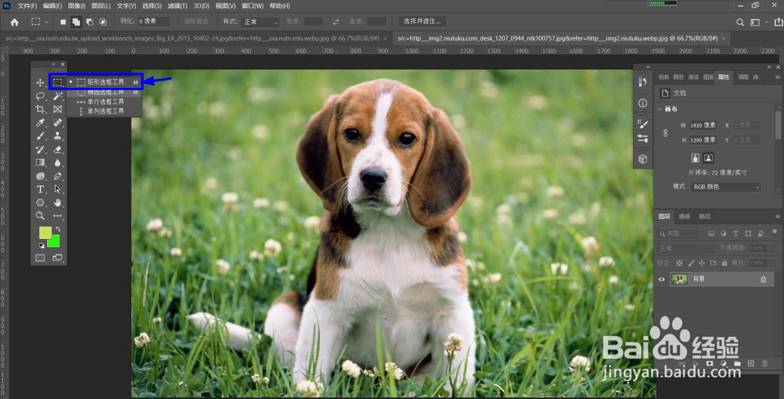 PS怎么设置选区反选？