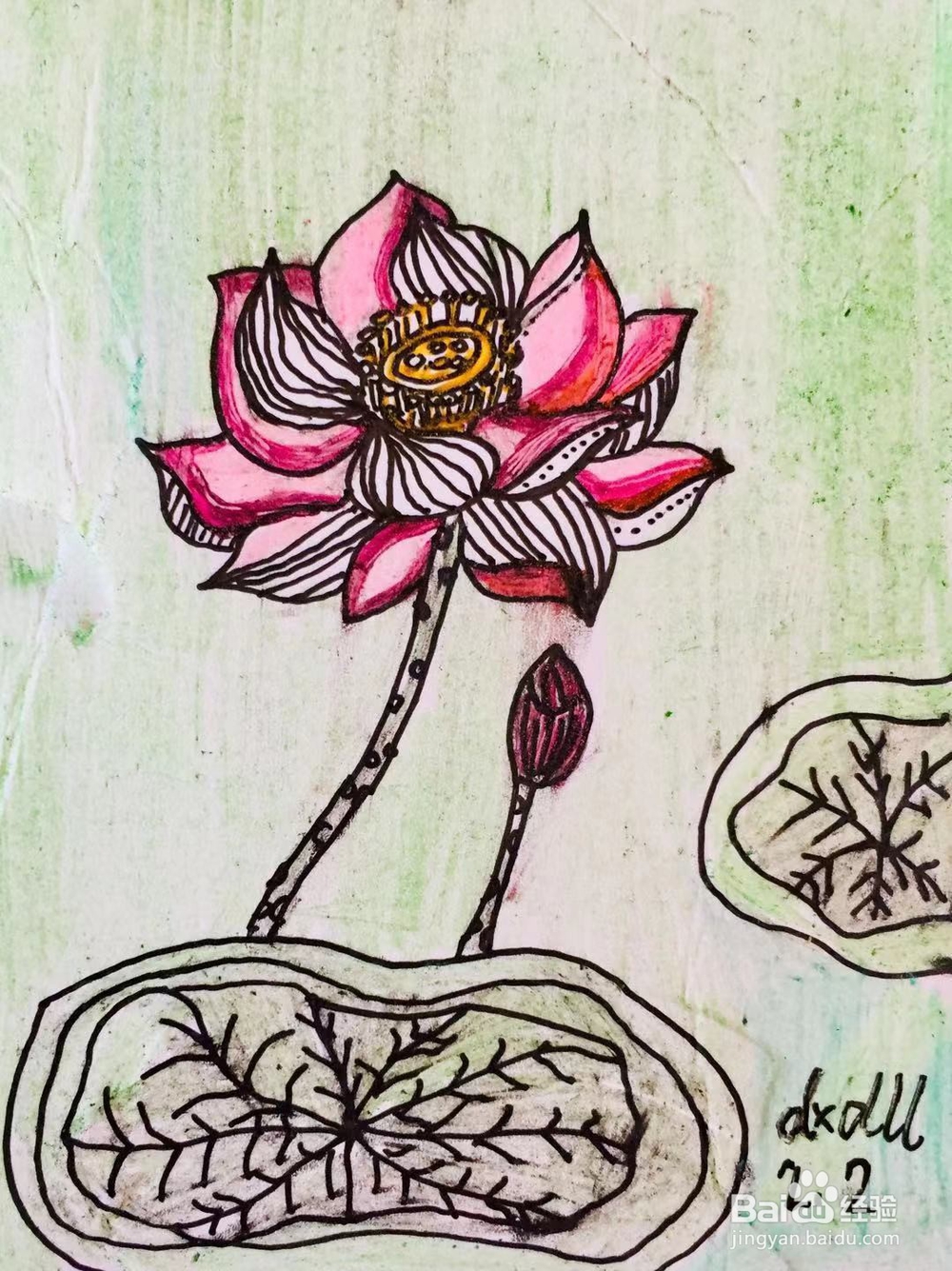 插画教程之莲花