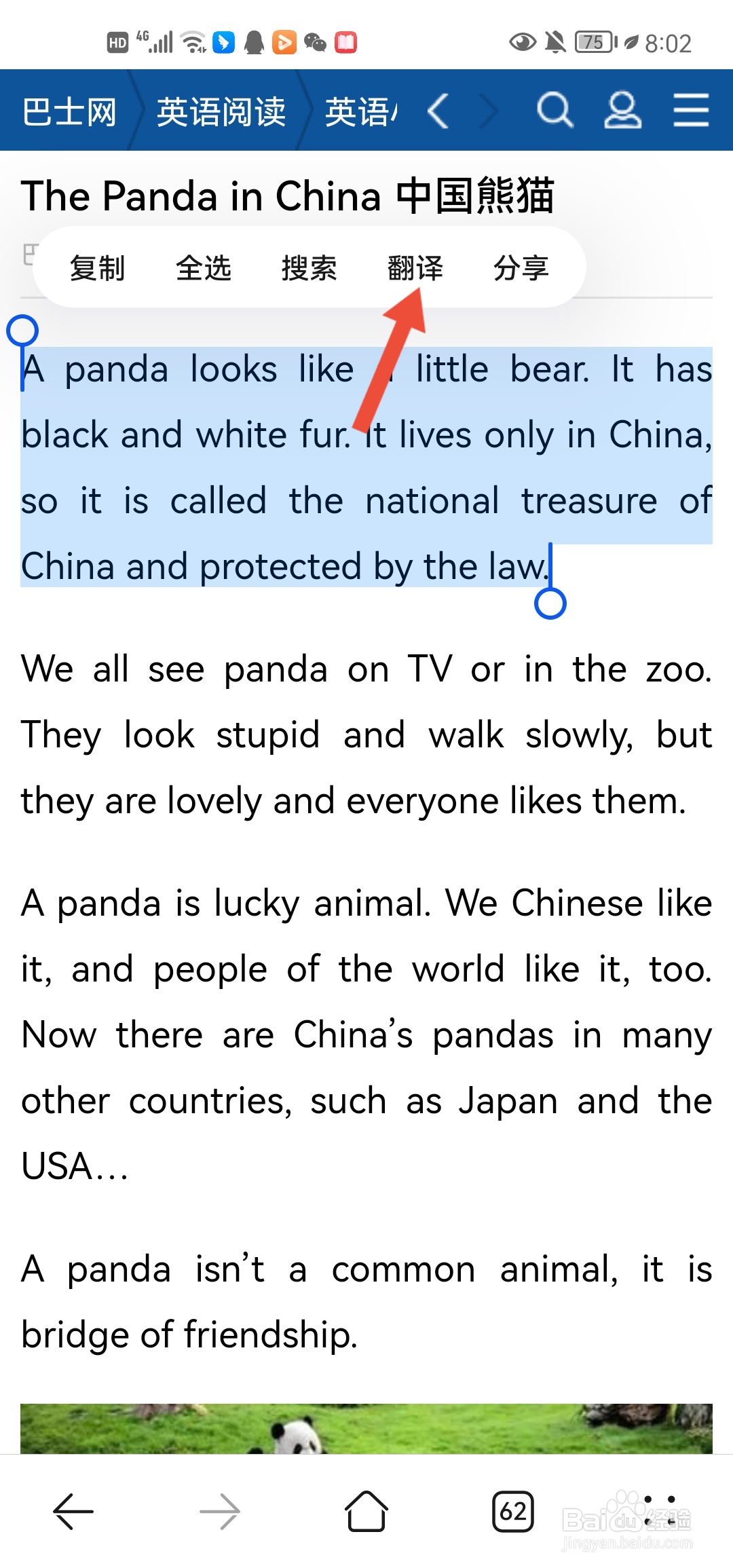 英语短文怎么翻译成中文