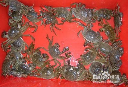 大闸蟹怎么保鲜?是冷藏或冷冻好?