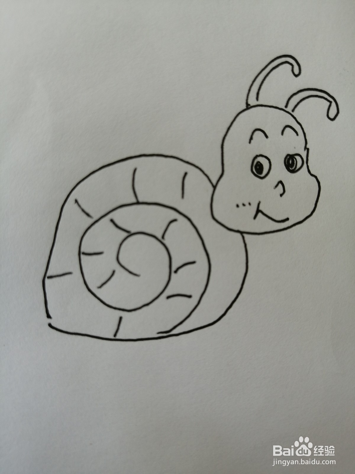 可爱的小蜗牛怎么画