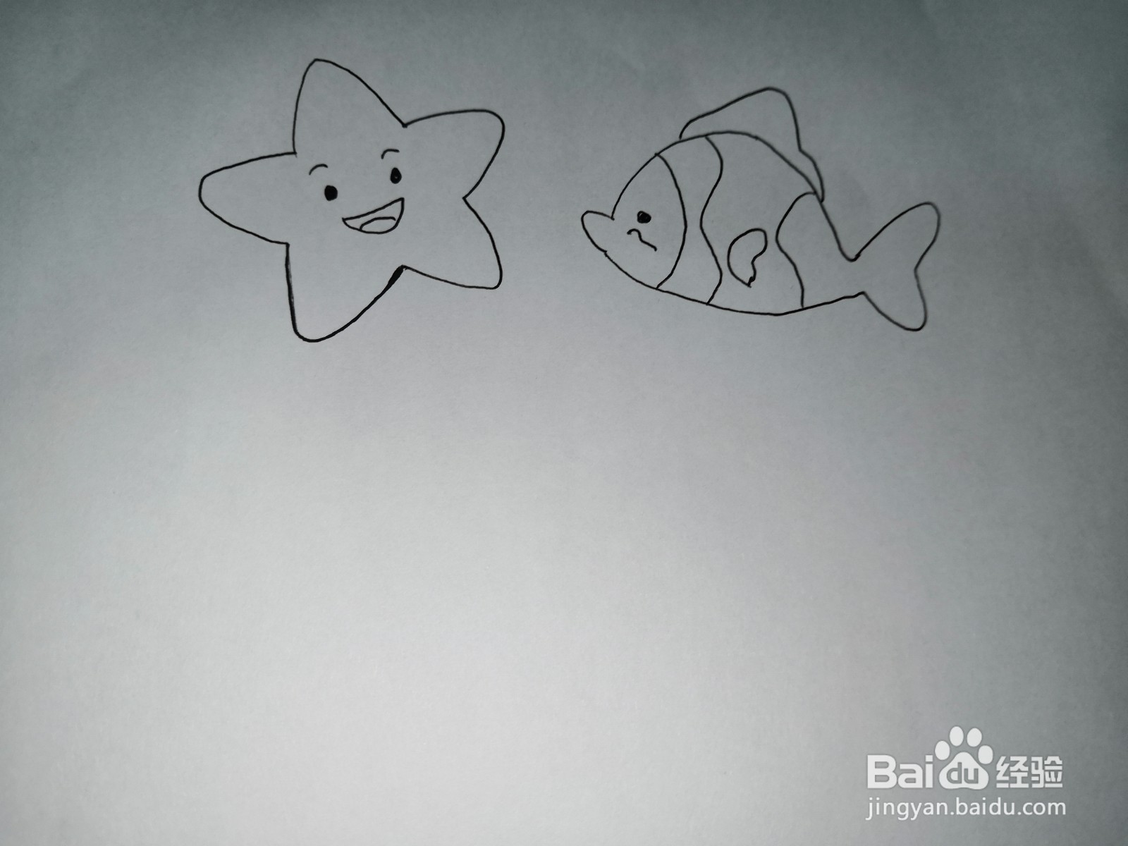 海洋生物简笔画彩色