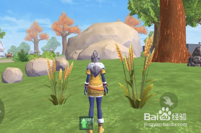 创造与魔法水稻怎么得