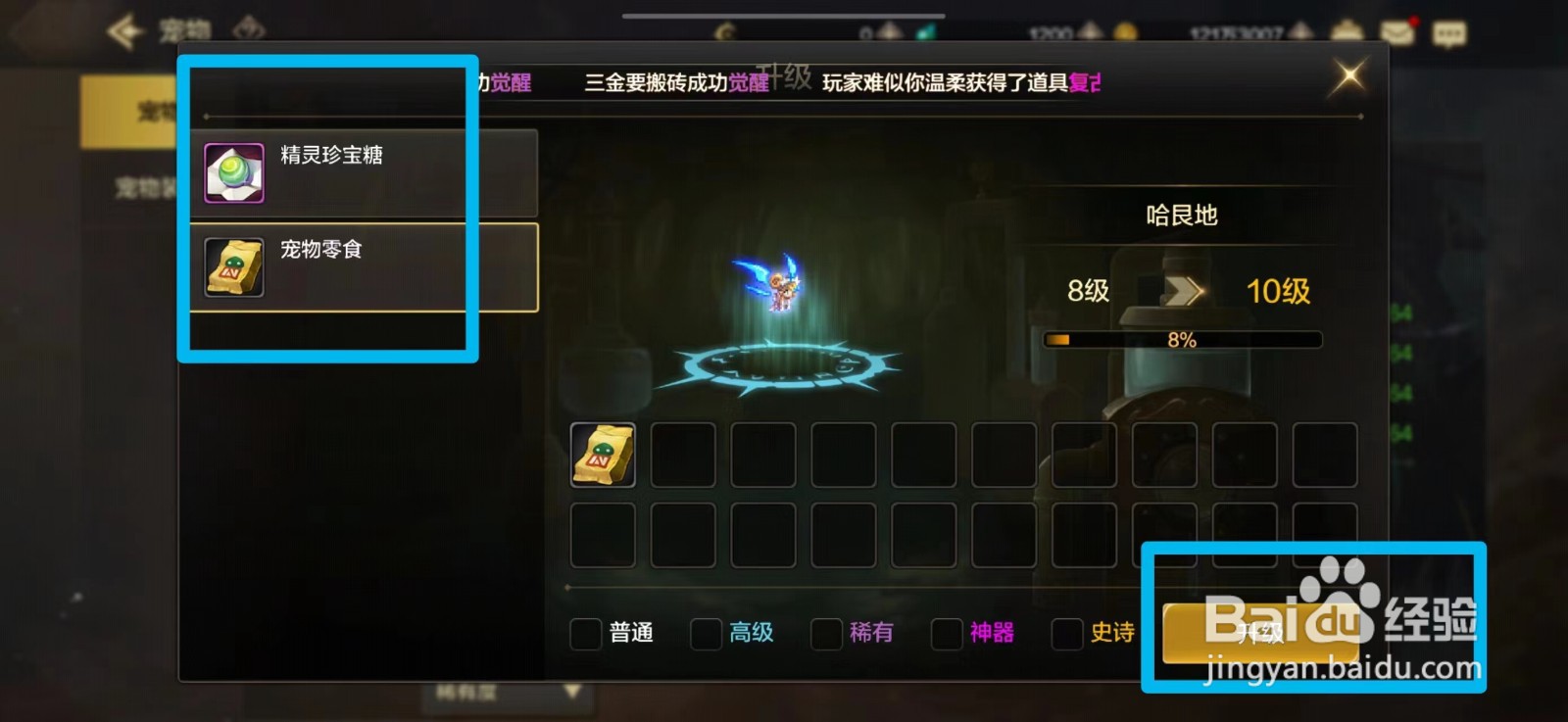 DNF手游如何给宠物升级