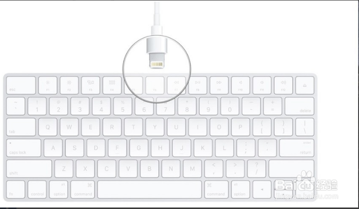 Magic Keyboard连接到Mac