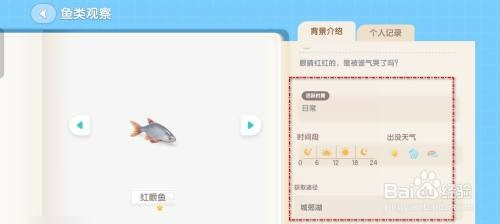 心动小镇钓红眼鱼怎么操作