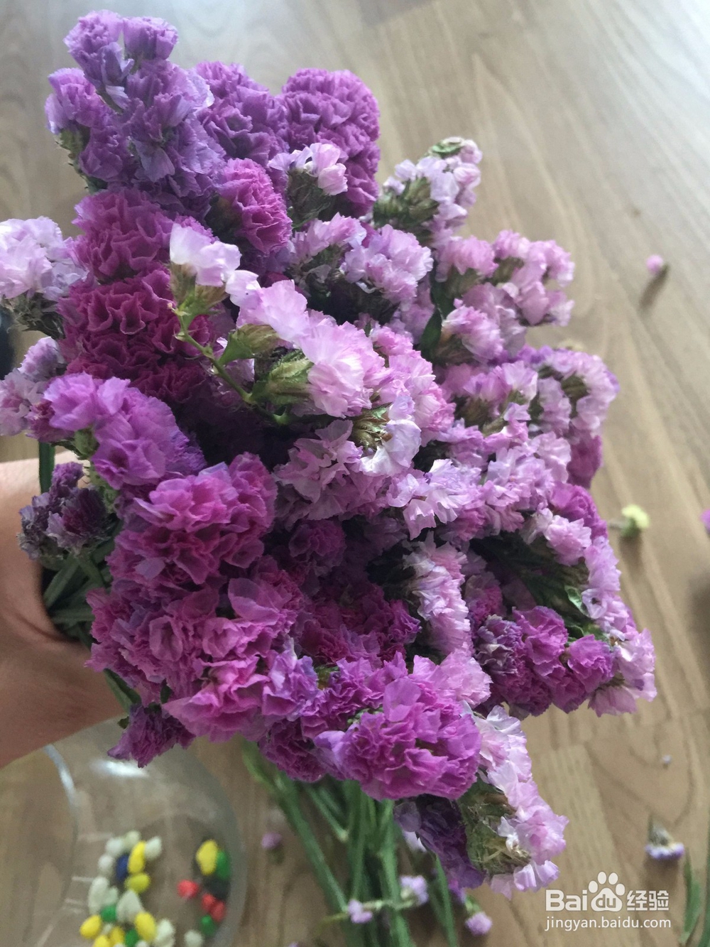 勿忘我干花花束速变瓶插花