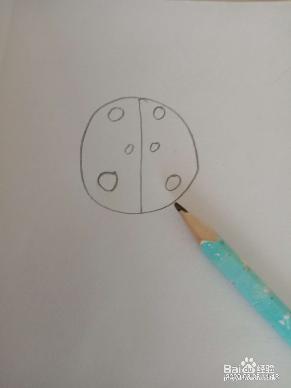 简笔画 如何画七星瓢虫
