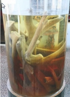 鹿茸如何保存？