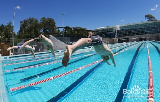 健康身体的经验：[18]游泳1