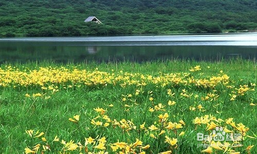 如何缓解工作生活学习中的压力：[1]