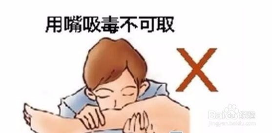 民间处理蛇毒的偏方