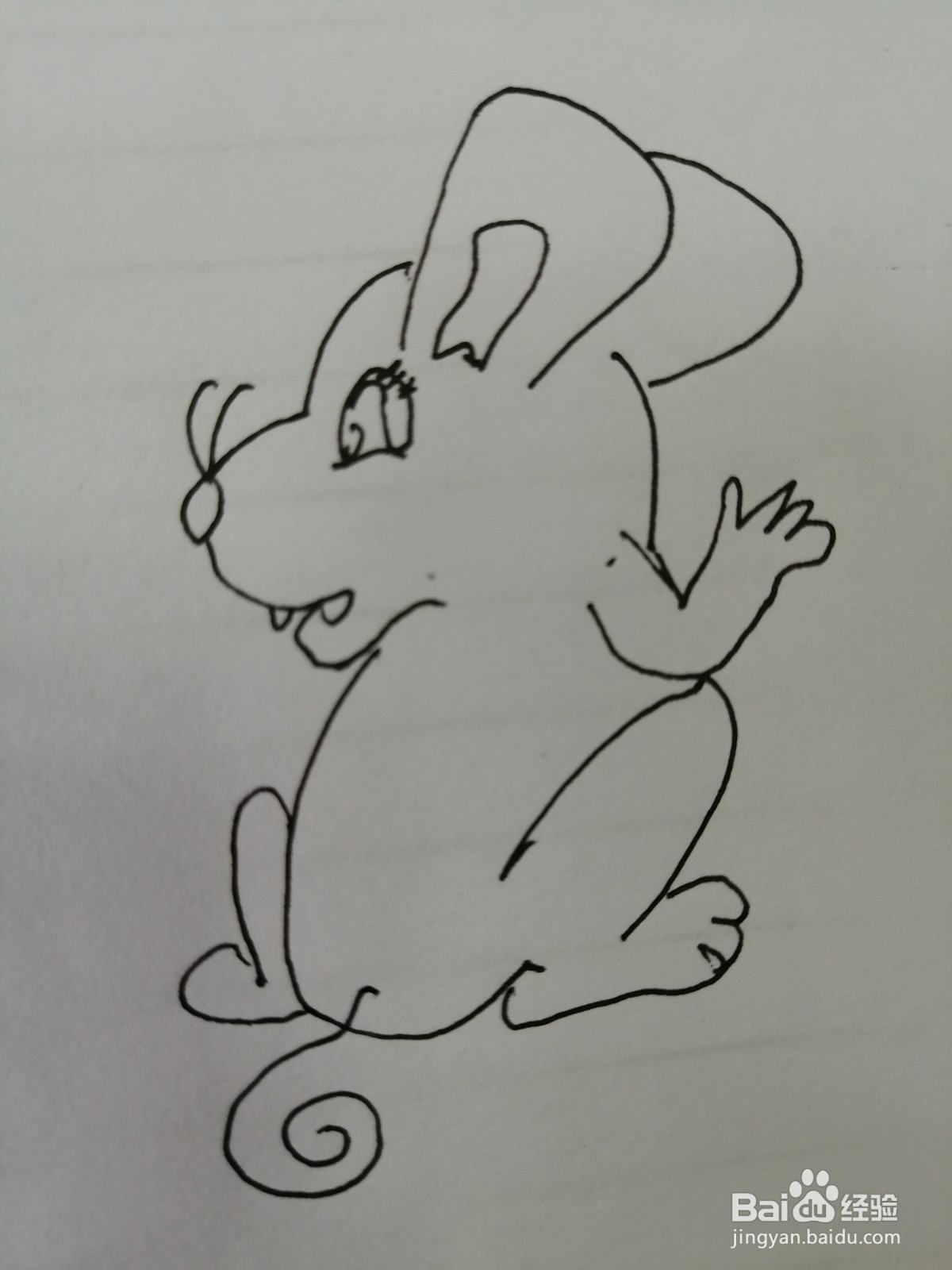 <b>简笔画机灵的小老鼠怎么画</b>