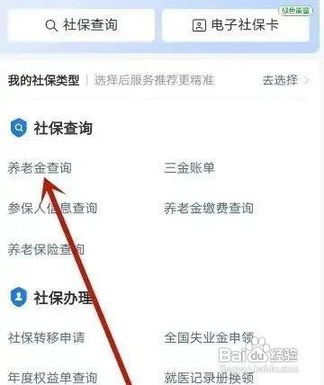 怎么查个人养老金账户余额