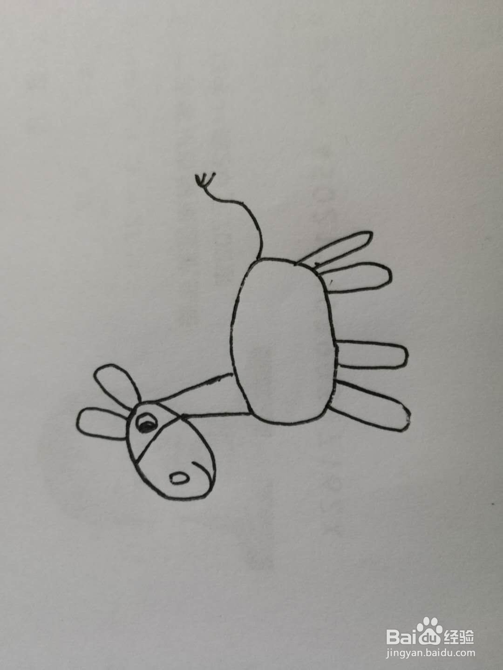 简笔画得意的小毛驴