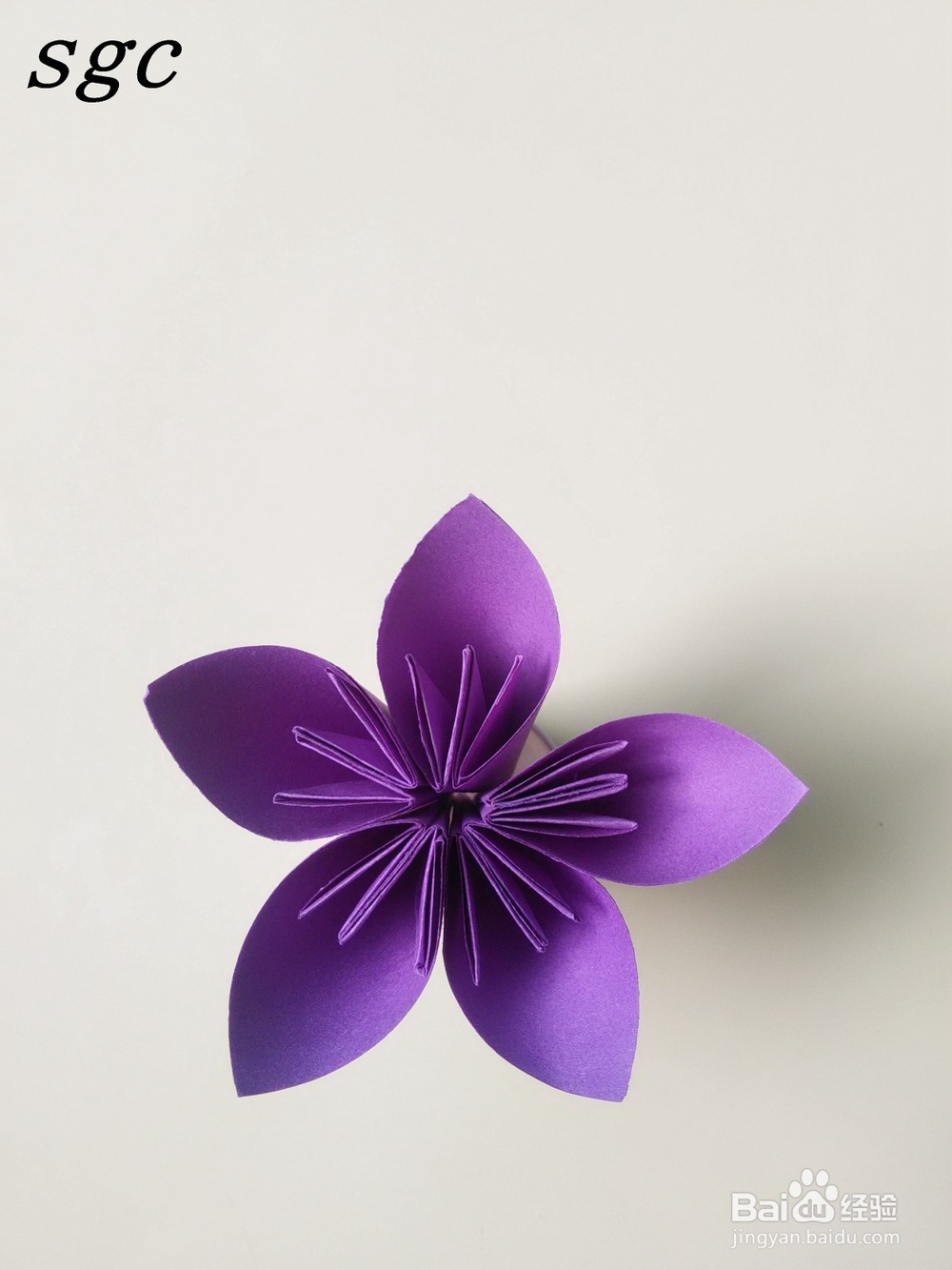 折纸教程——纸折花之樱花的折法