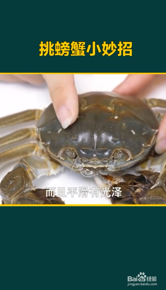 挑选大闸蟹的小妙招
