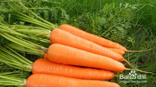 哪些食物对女生长高有帮助？