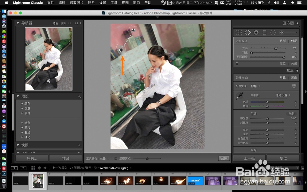 Mac版lightroom classic怎么去除图片的污点