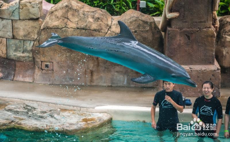 新加坡旅游简记21