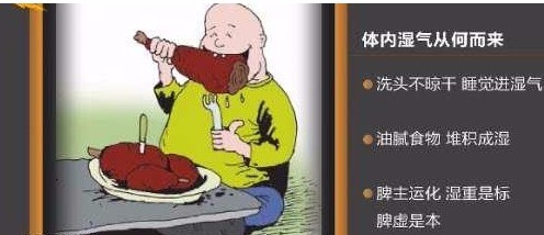 薏葛粉是到底是什么? 原材料是哪些