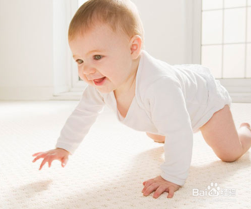 8个月的宝宝怎样进行早教？