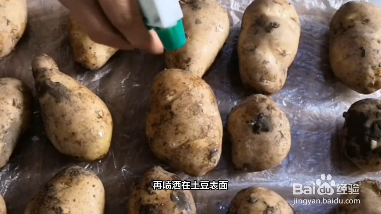 土豆如何保存不发芽不变绿