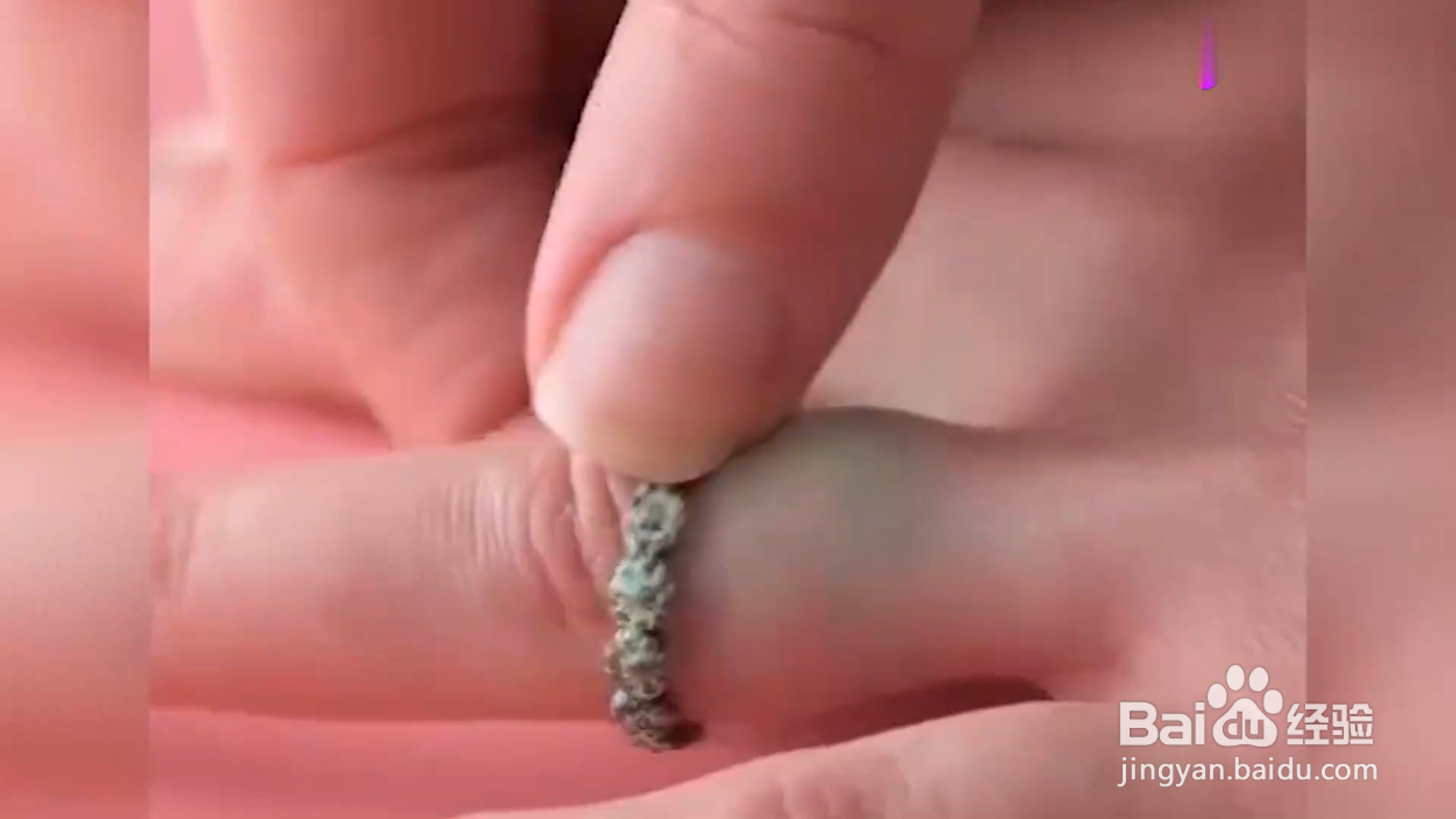 如何学会实用生活小技巧？