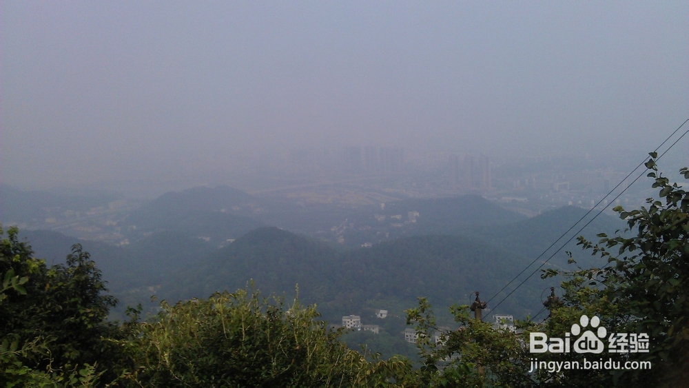 百元游长沙攻略