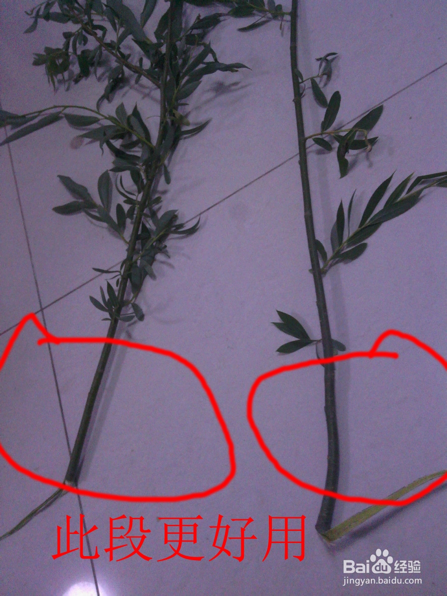柳笛的制作方法