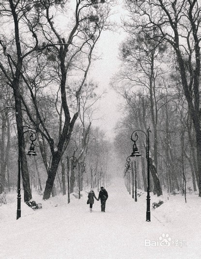 掉头发如何护理