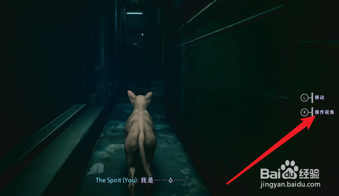 野狗子怎么附身