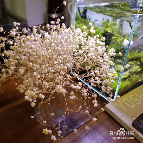 美图手机V4效果图