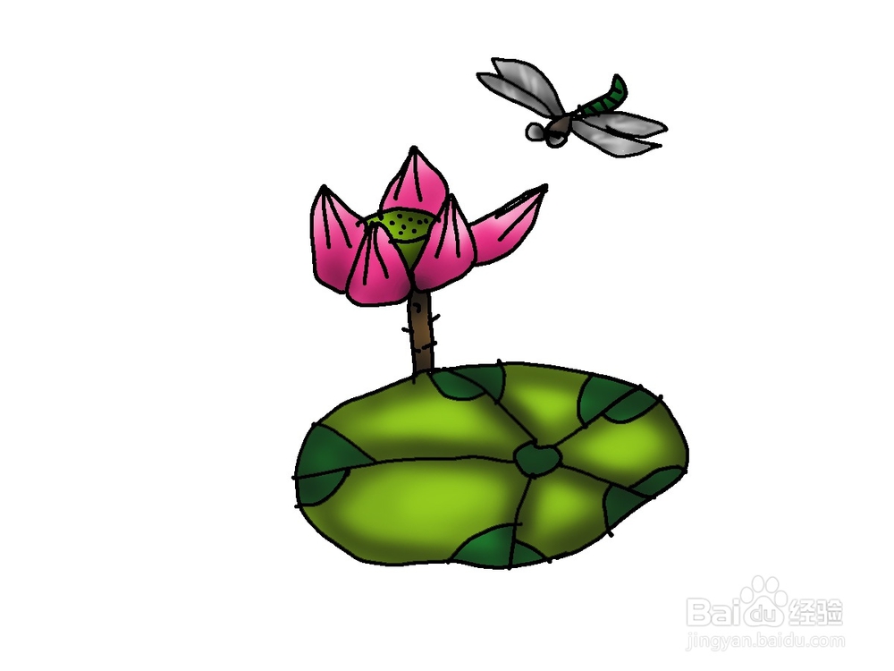 美术 简笔画荷花