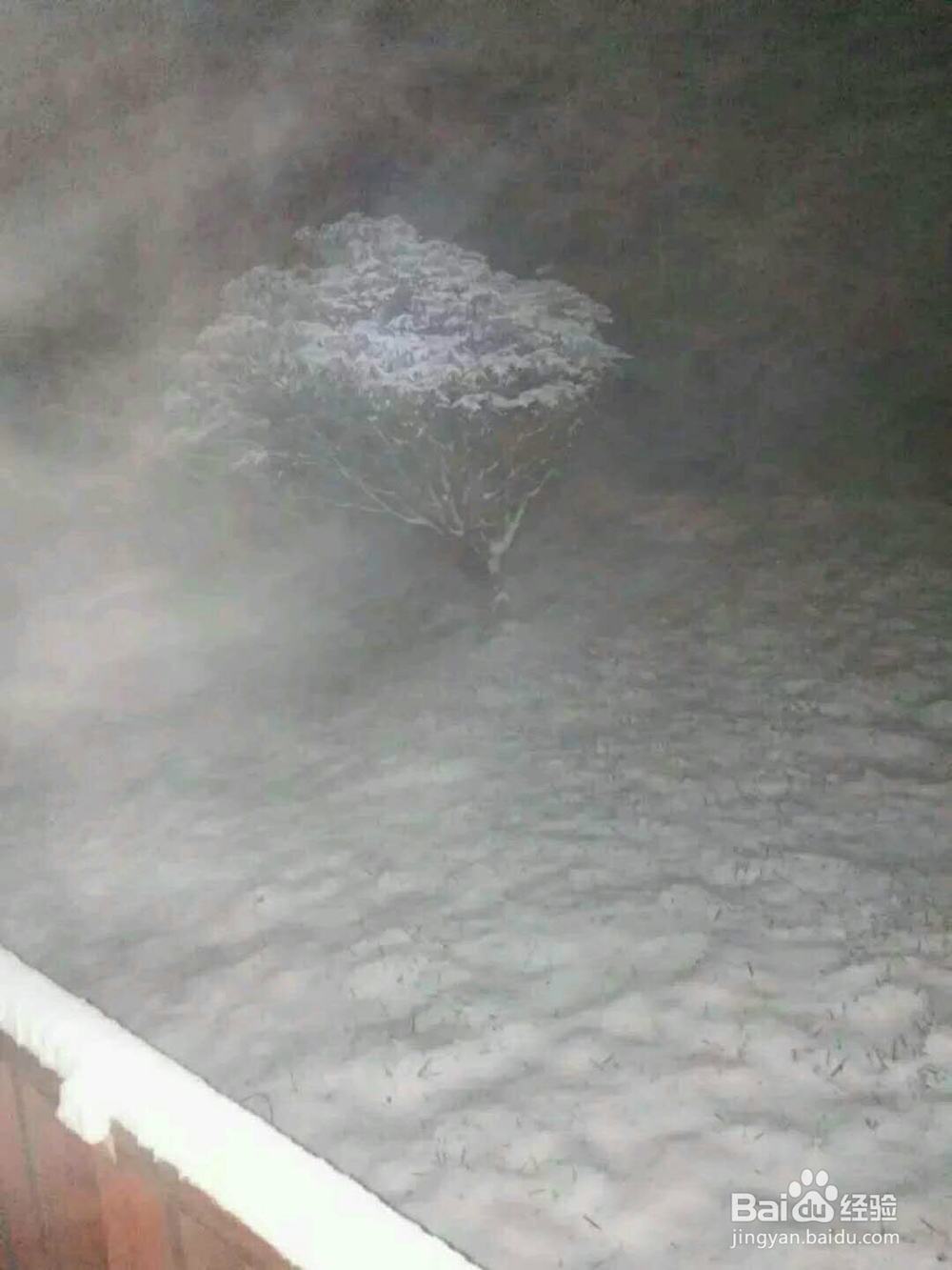 重庆大雪纷飞的金佛山风景区, 你去旅游过吗?