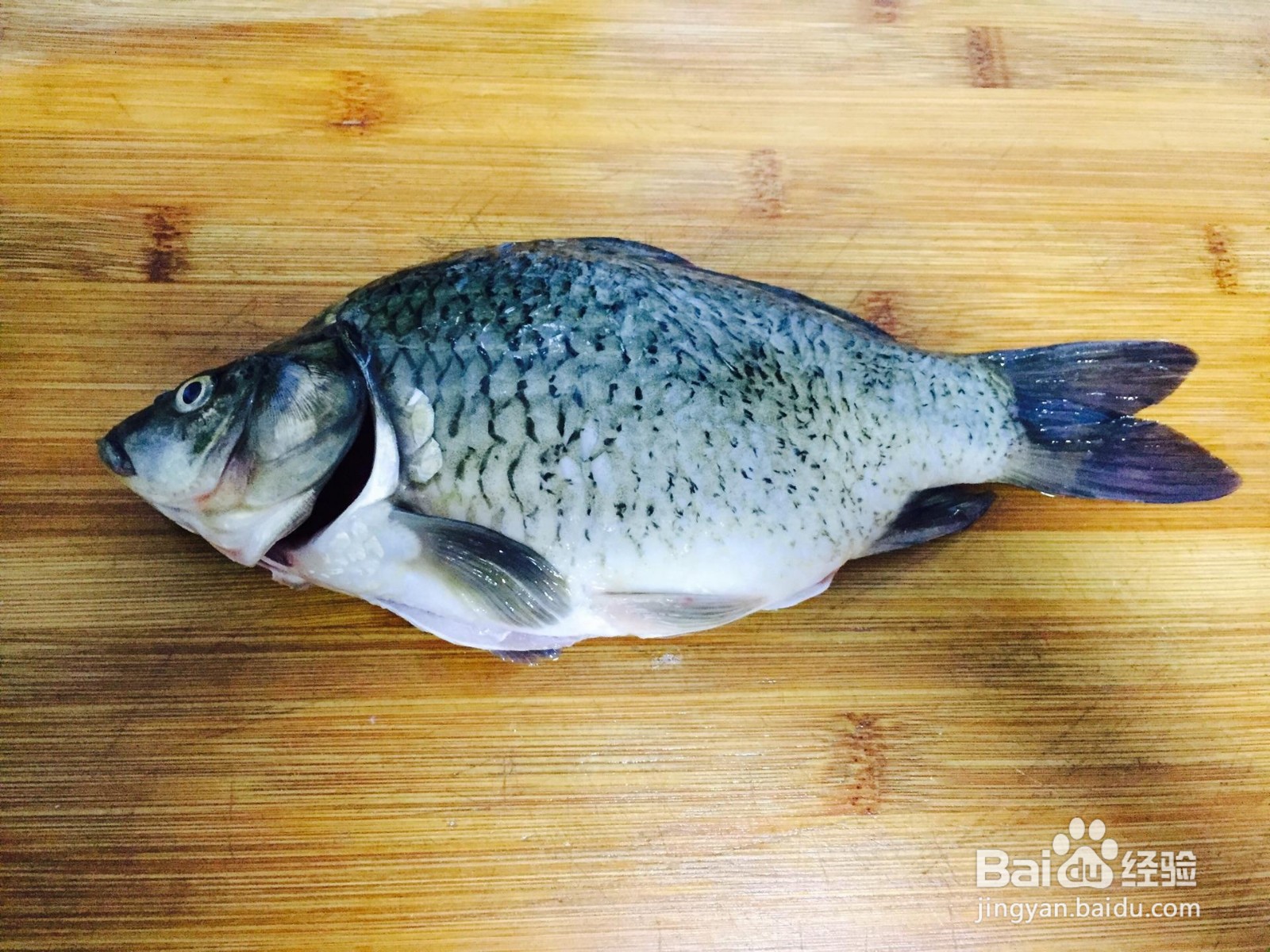 豆瓣鱼怎么做？