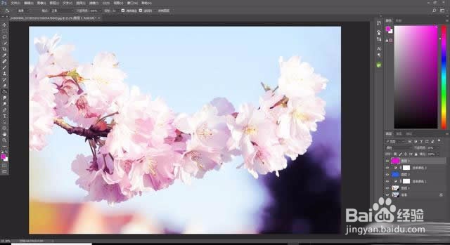 Photoshop樱花摄影后期处理